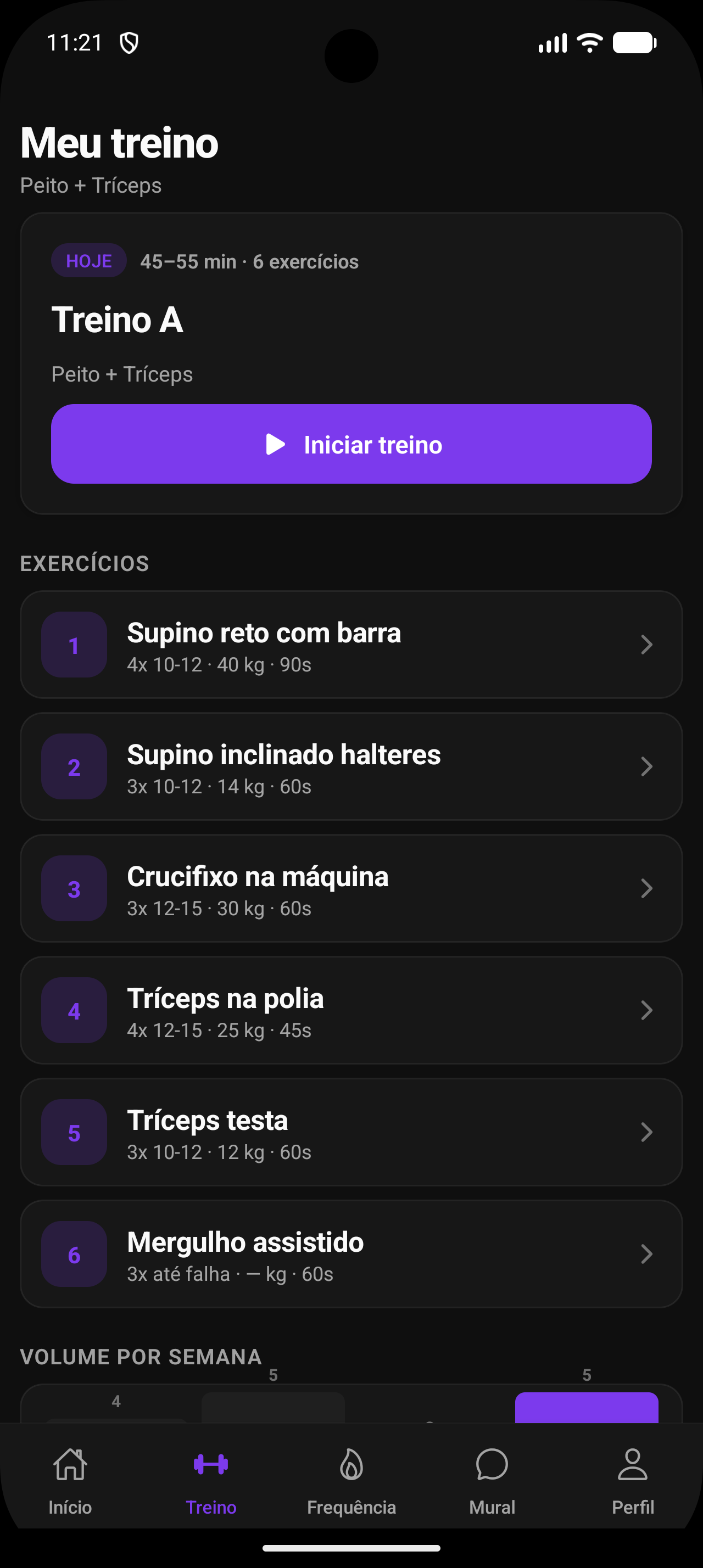 Meu treino
